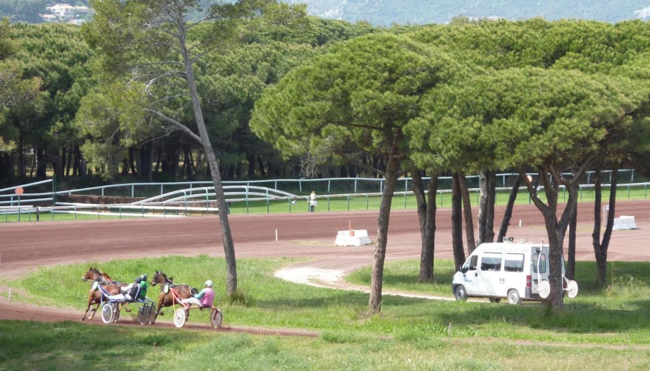 Studio Residence Bona, Vue Hippodrome Et Mer, Clim Hyeres Bagian luar foto