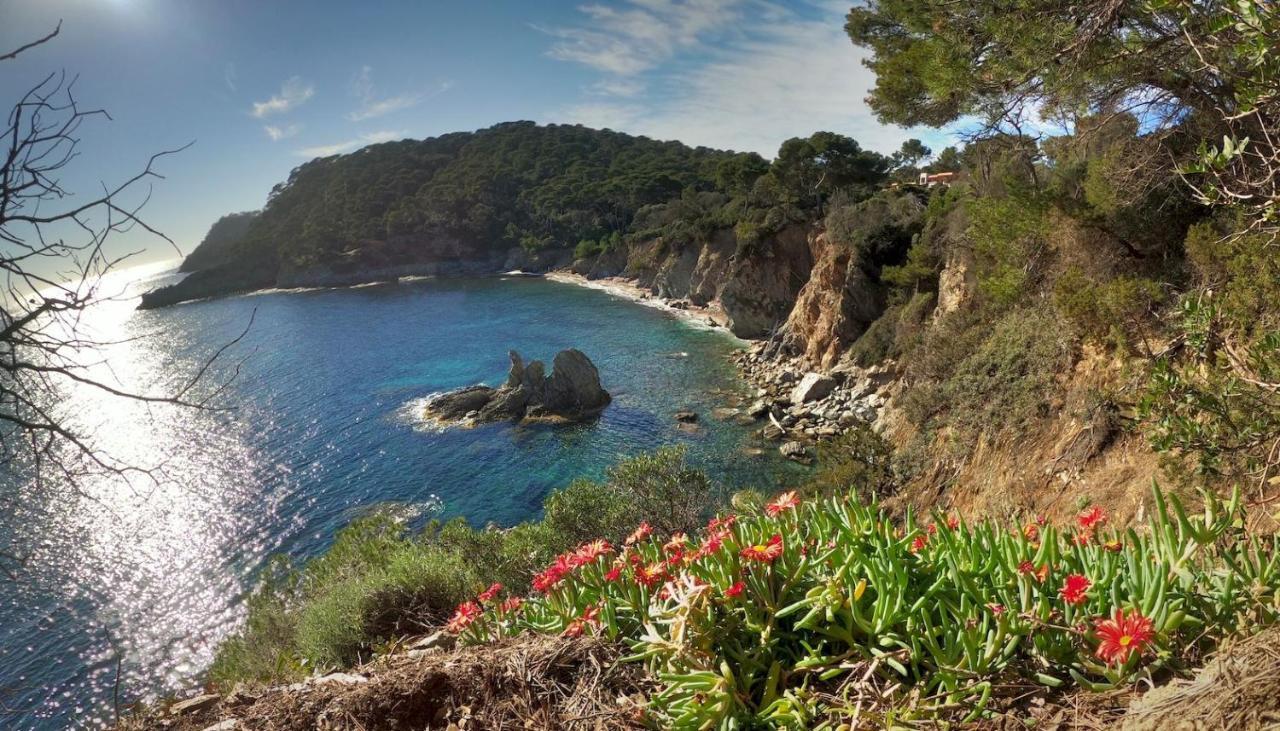 Studio Residence Bona, Vue Hippodrome Et Mer, Clim Hyeres Bagian luar foto